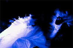 vckristi-oddscene-250px